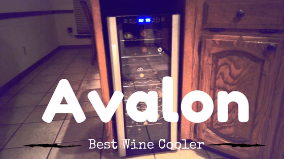 Best Avalon Wine Coolers